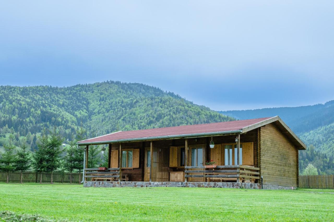 Biotour Camping & Restaurant Ghimeş-Făget Exteriör bild