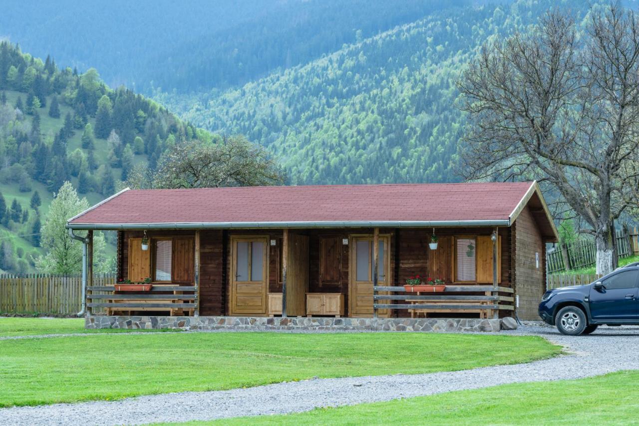 Biotour Camping & Restaurant Ghimeş-Făget Exteriör bild