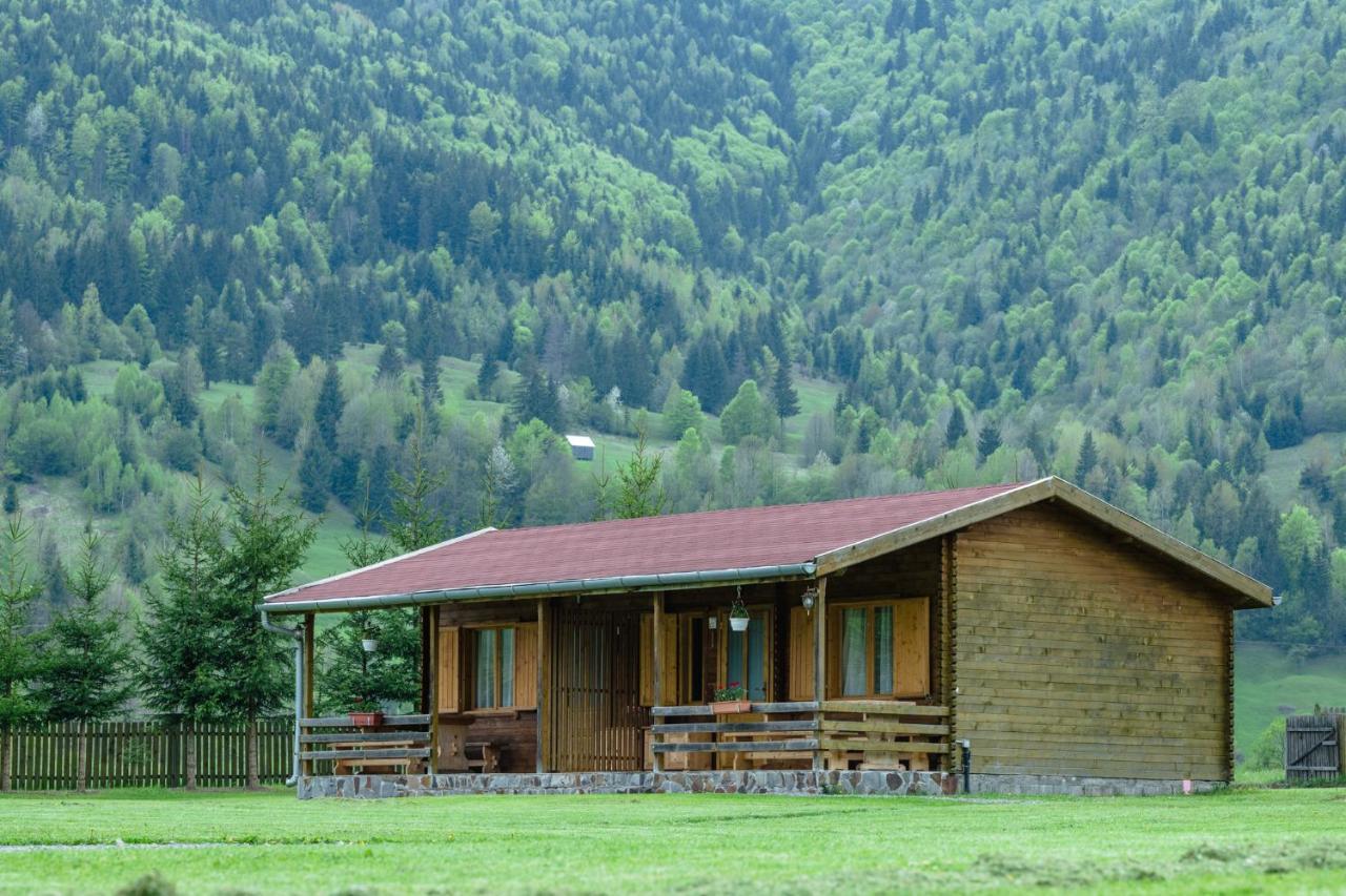Biotour Camping & Restaurant Ghimeş-Făget Exteriör bild
